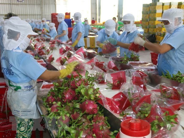 Quả vải Việt ở châu Âu: Bài cuối: ''Bệ phóng'' EVFTA cho nông sản Việt 